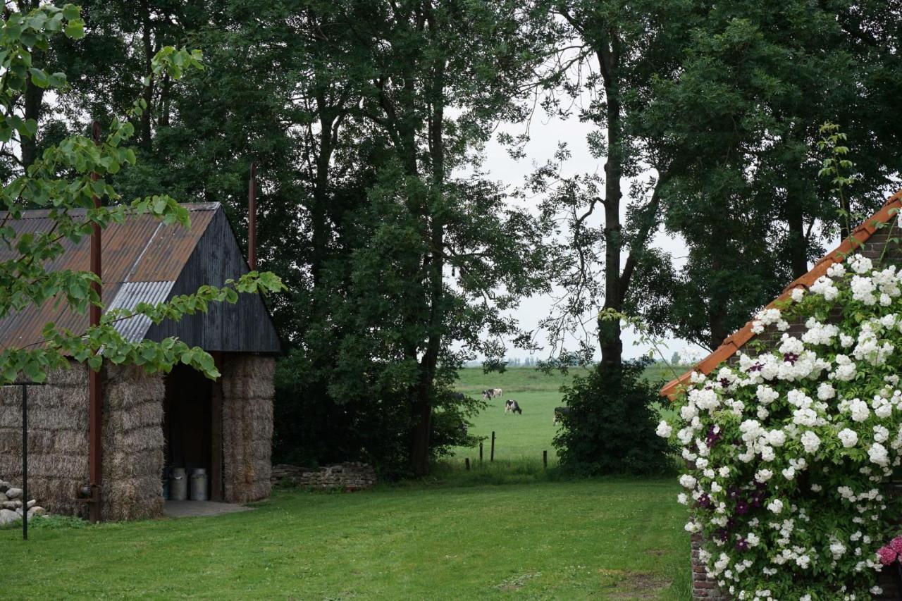 Bed and Breakfast Het Leeuwterveld à Sint Jansklooster Extérieur photo